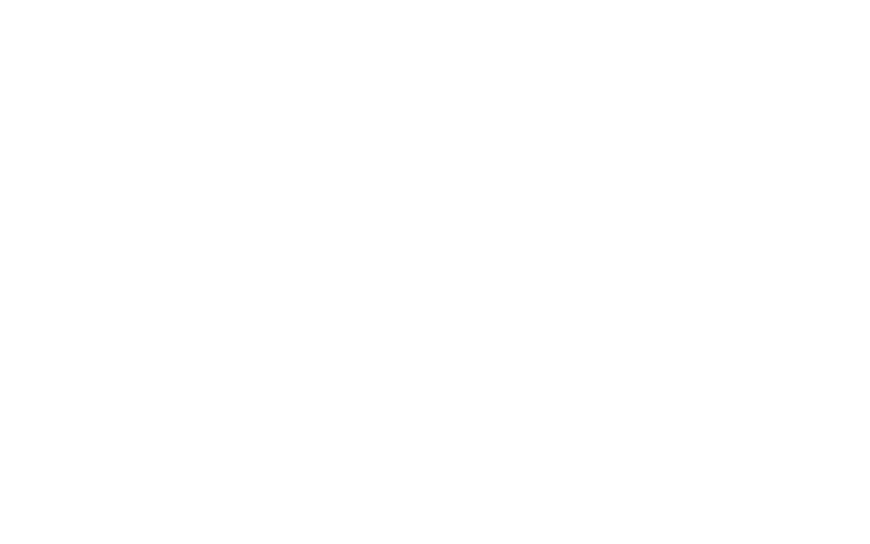 Q&A